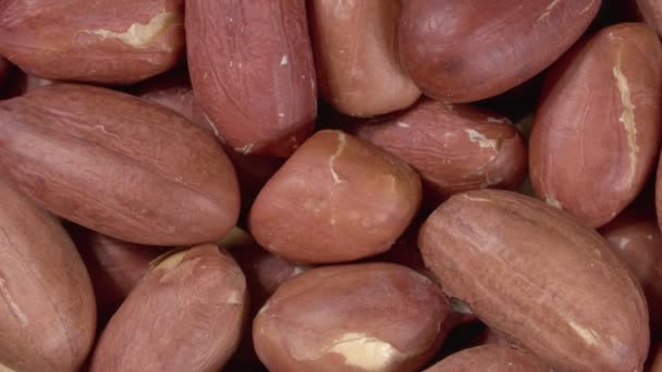 Närbild rotation av jordnötter. Massor av nötter. Skalade jordnötter. — Stockvideo