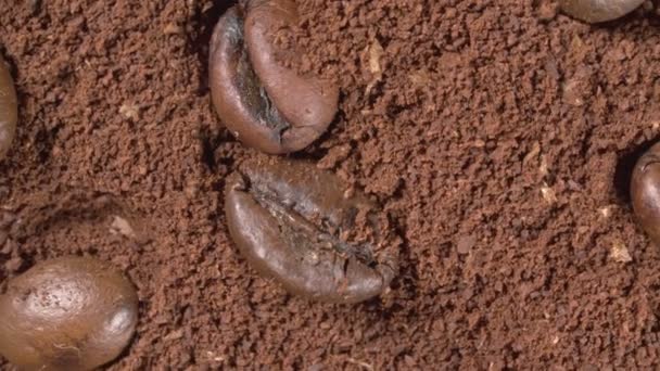 Rotation du café moulu et des grains de café en gros plan. Macro vidéo. — Video