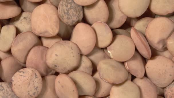 Fechar rotação de lentilhas. Imagem macro. Vídeo 4K. Leguminosas orgânicas. — Vídeo de Stock