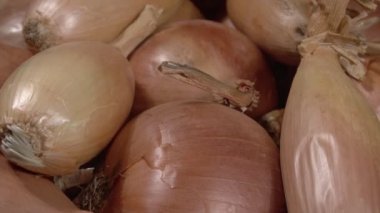 Soğan yakın plan. Arpacık soğanlarını hasat et. Oval selamlama.