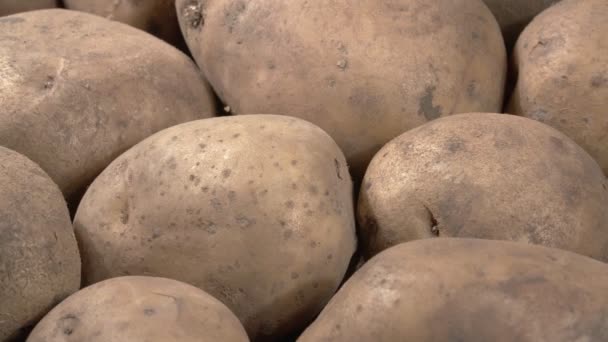 Fechem as batatas. Produtos hortícolas crus descascados. — Vídeo de Stock