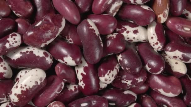 赤い豆の回転が閉じます。有機物のマメ科. — ストック動画