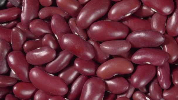 Rotação de leguminosas de feijão vermelho de perto. Leguminosas orgânicas. — Vídeo de Stock