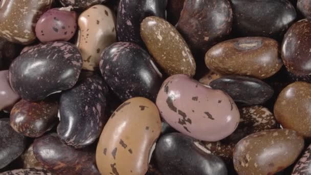 Rotation of colored beans legume close up. Organic legumes. — Stock Video