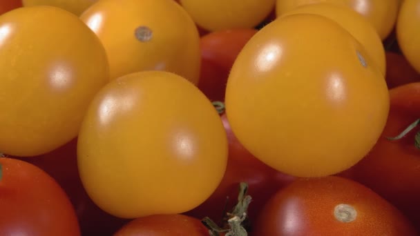 Os tomates de cereja vermelhos e amarelos fecham. Legumes maduros. Legumes em miniatura. — Vídeo de Stock