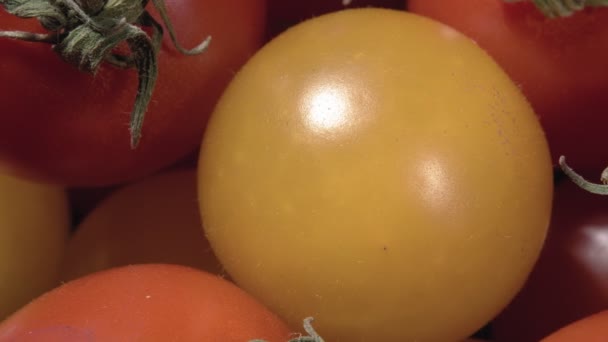 Os tomates fecham-se. Legumes em miniatura. — Vídeo de Stock