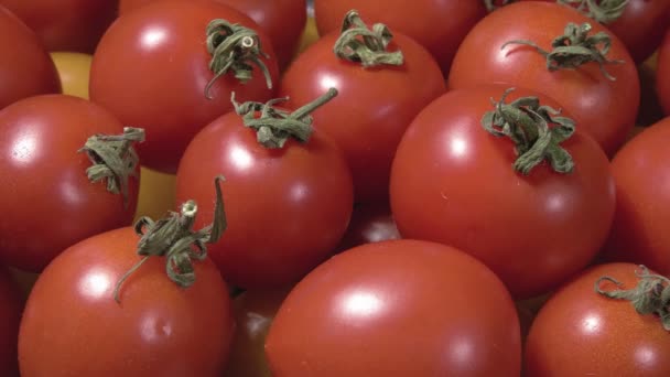 Biologische tomaten sluiten. Rijp groenten. Plantaardige miniatuur. — Stockvideo