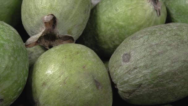 Feijoa zblízka. Černé pozadí. Mnoho bio ovoce. — Stock video