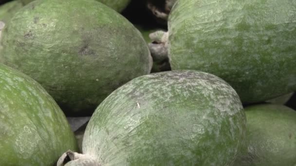 Feijoa zblízka. Mnoho organické ovoce. Feijoa close-up. Ekologické ovoce. Zralé zdravé ovoce. — Stock video