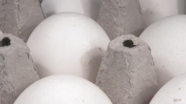 Ovos de galinha orgânicos em uma bandeja de close-up. — Vídeo de Stock