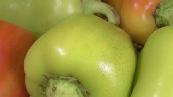 Gros plan sur le poivre biologique. Légumes frais. Aliments naturels. — Video