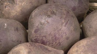 Organik pancarlar yakın plan. Taze sebze..