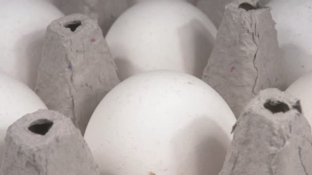 Ayam telur di nampan close-up. — Stok Video