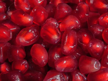 Nar taneleri çok yakındır. Süper makro.