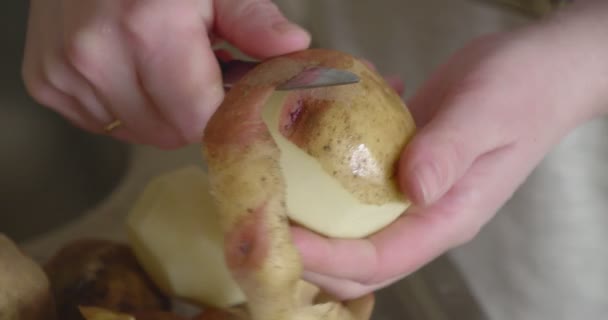 Mains propres pommes de terre biologiques close-up. — Video