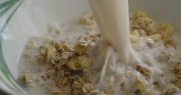 El desayuno seco está lleno de leche. Crujiente con leche. — Vídeos de Stock