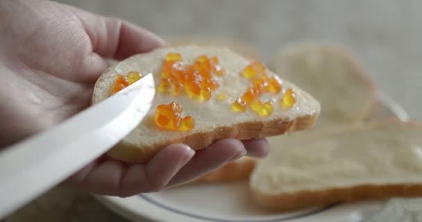 Mãos fazem um sanduíche com caviar vermelho. — Vídeo de Stock