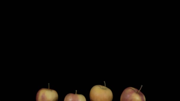 Pommes volantes sur fond noir. Fruits biologiques. — Video