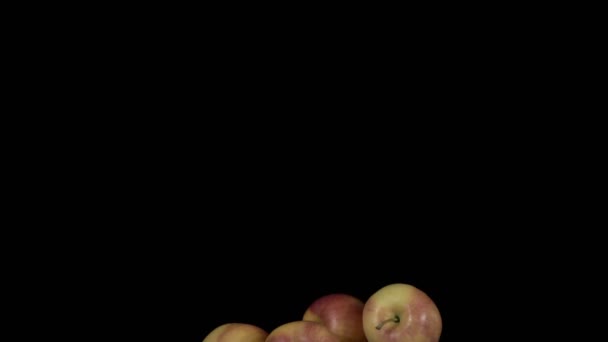 Létající jablka na černém pozadí. Organické ovoce. — Stock video