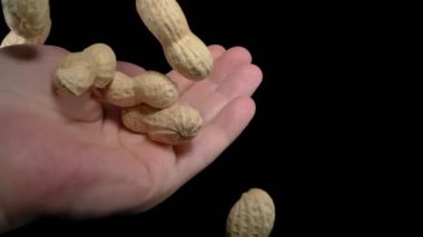 Siyah arka planda elin üzerine yer fıstığı dökülüyor. Süper yavaş çekim.