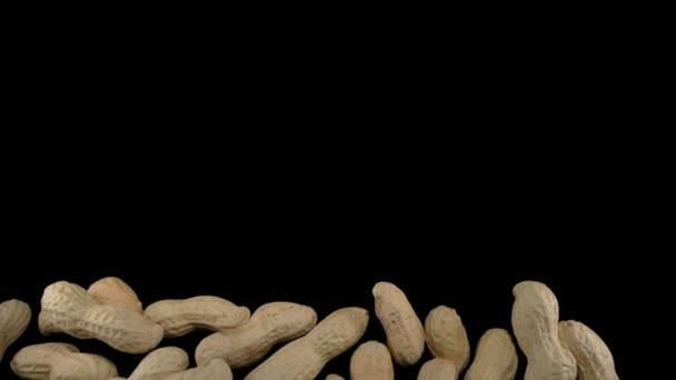 Flying peanuts on a black background. Super slow motion. — Stock Video