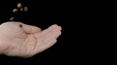 Kahve çekirdekleri siyah arka planda ele dökülecek. Süper yavaş çekim..