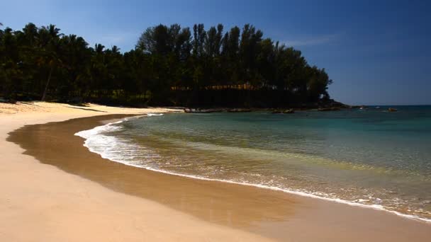 Hermosa playa y olas — Vídeos de Stock