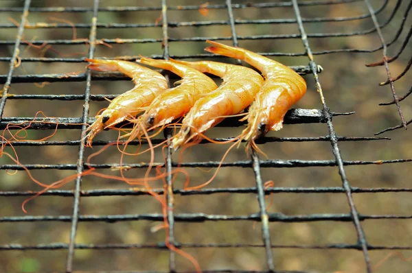 Crevettes grillées sur le gril — Photo