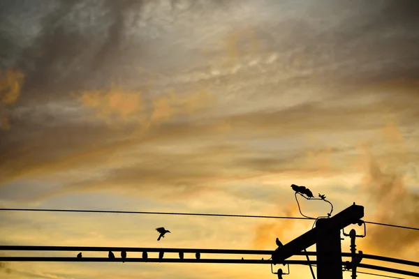 Silhouettes orange sky. sunset photo as background — Stock Photo, Image