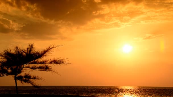 Schöner Sonnenuntergang am Strand — Stockvideo