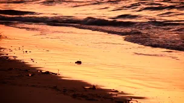 Hermosa puesta de sol en la playa — Vídeos de Stock