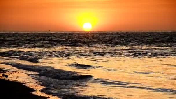 Хвиля на пляжі ввечері і на заході сонця . — стокове відео
