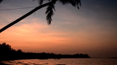 Hindistan cevizi ağacı ve gökyüzü