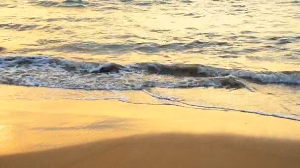 Wave at beach in evening Thailand — Stock Video