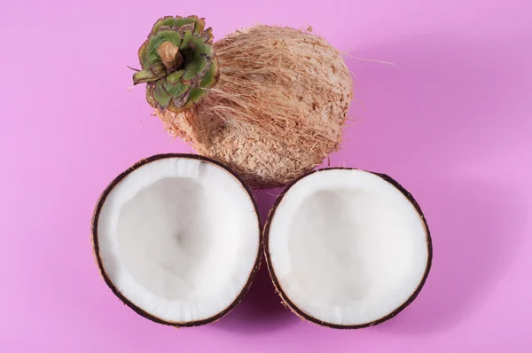 Cocco fresco su sfondo rosa isolato — Foto Stock