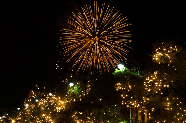 Belos fogos de artifício coloridos com reflexos do céu noturno e do lago — Fotografia de Stock