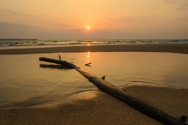 Sunset in the sea — Stock Photo, Image