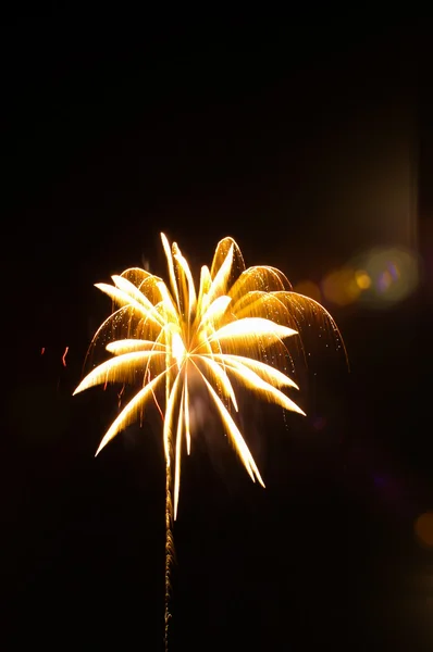 Prachtig kleurrijk vuurwerk met nachtelijke hemel Rechtenvrije Stockfoto's