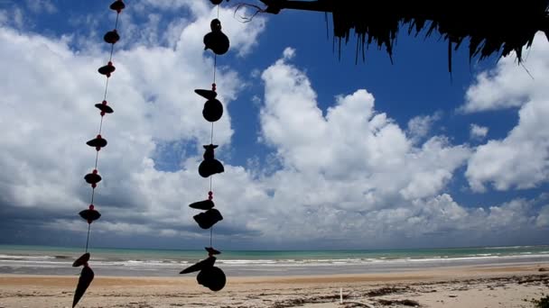 Muschel am Strand und blauer Himmel — Stockvideo