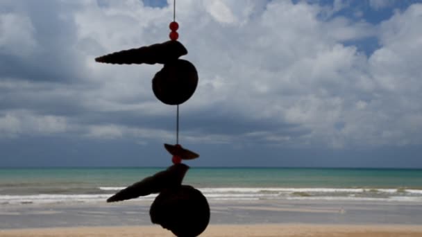 Concha en la playa y el cielo azul — Vídeos de Stock