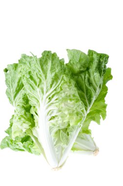 Beyaz üzerinde taze marul. 