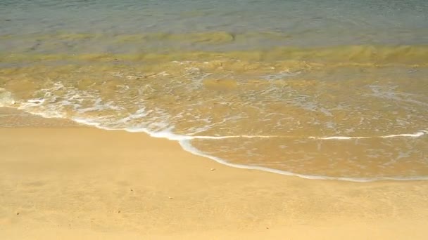 Волна и песок на пляже — стоковое видео