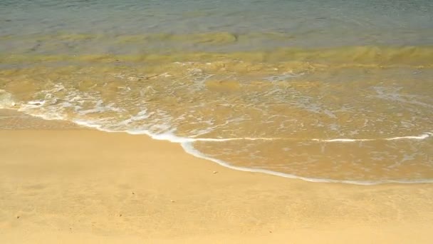 Belle vague et sable à la plage 