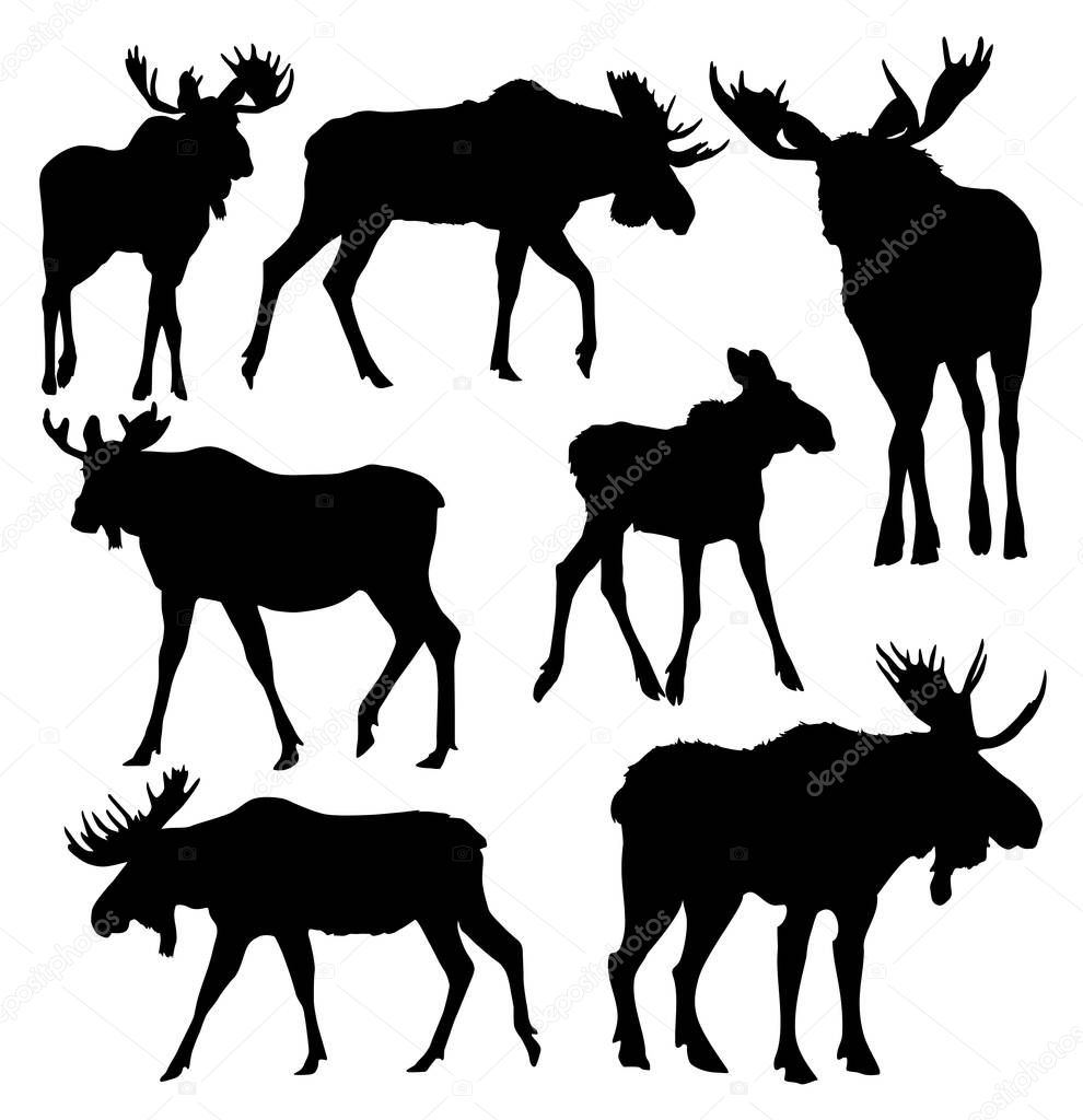 set of animal silhouettes moose in different positions vector illustration