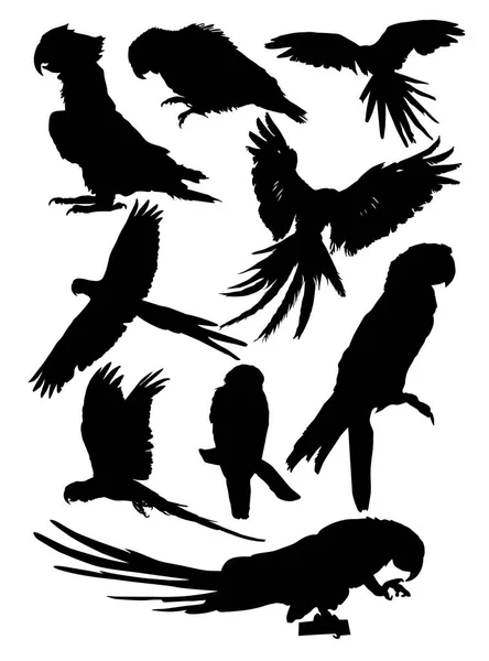Набор Силуэтов Птиц Попугаев Различных Положениях Векторная Иллюстрация — стоковый вектор