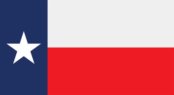 Flag American State Texas Vector Illustration — Stock Vector