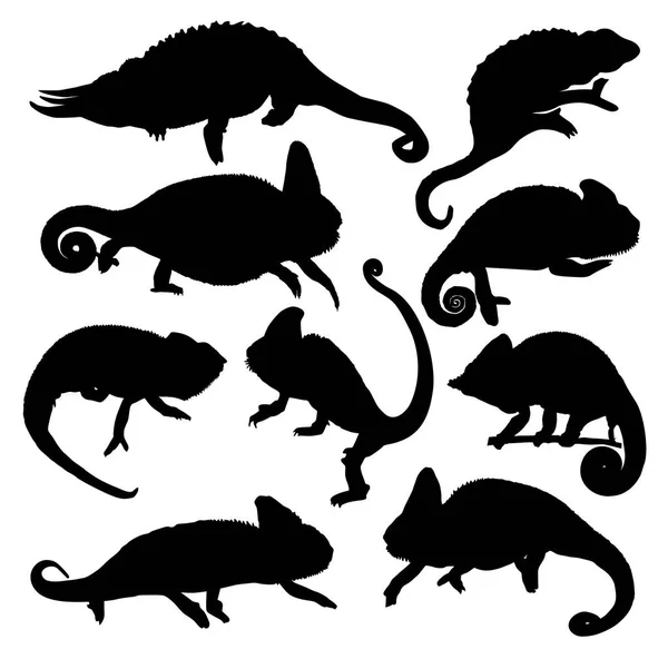 Cartoon Lizard Posesストックベクター ロイヤリティフリーcartoon Lizard Posesイラスト Depositphotos