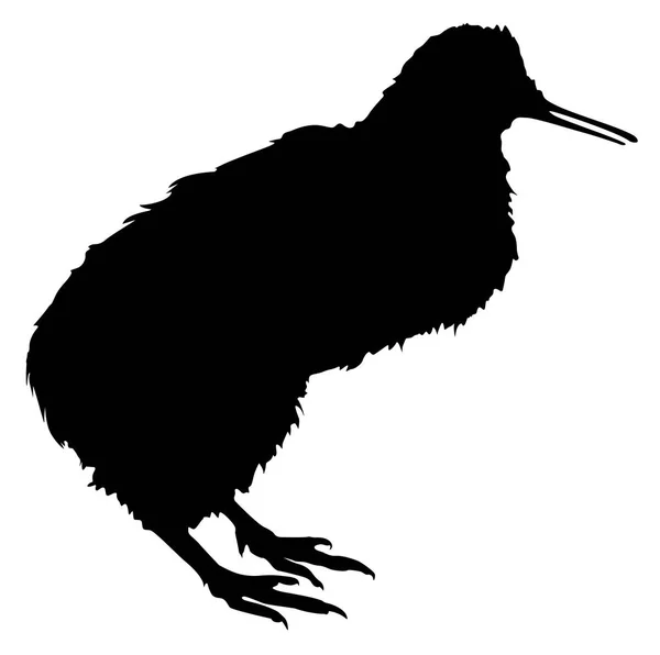 Silhouet Van Een Vleugelloze Kiwi Vogel Vector Illustratie — Stockvector