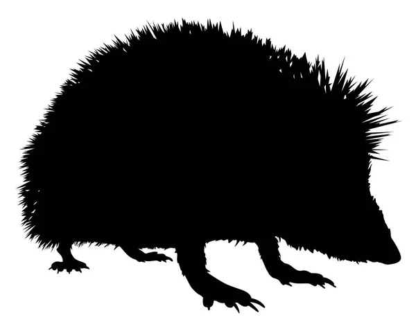 ハリネズミの動物のイラストのシルエット — ストックベクタ