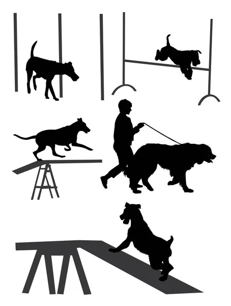 一组经过训练的狗的轮廓 执行各种技巧矢量图解 — 图库矢量图片